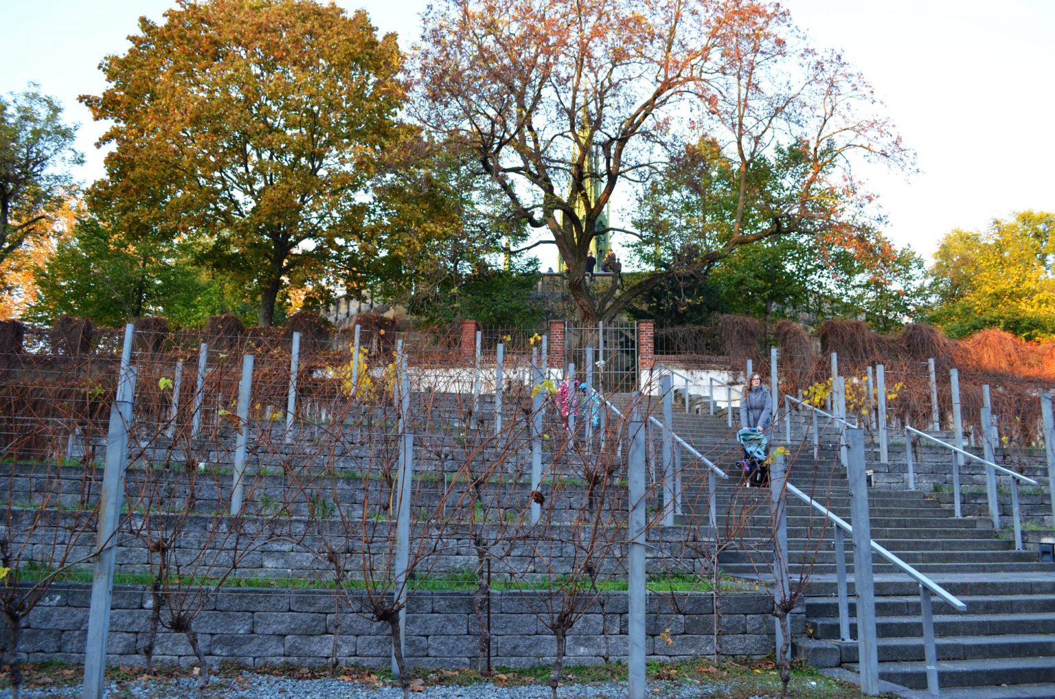 Wein aus Kreuzberg Städtepartner Stettin
